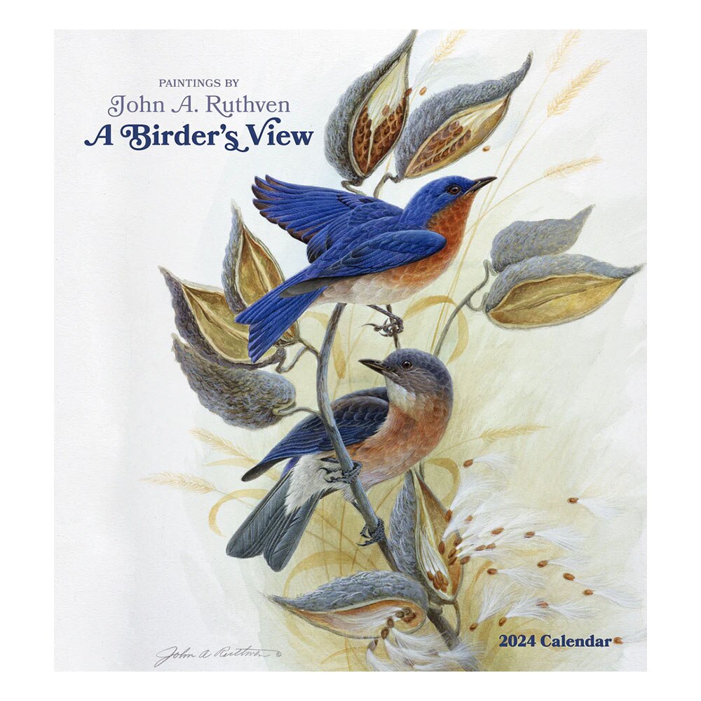 Pomegranate 2024 Wall Calendar A Birder's View Paintings by Ruthven